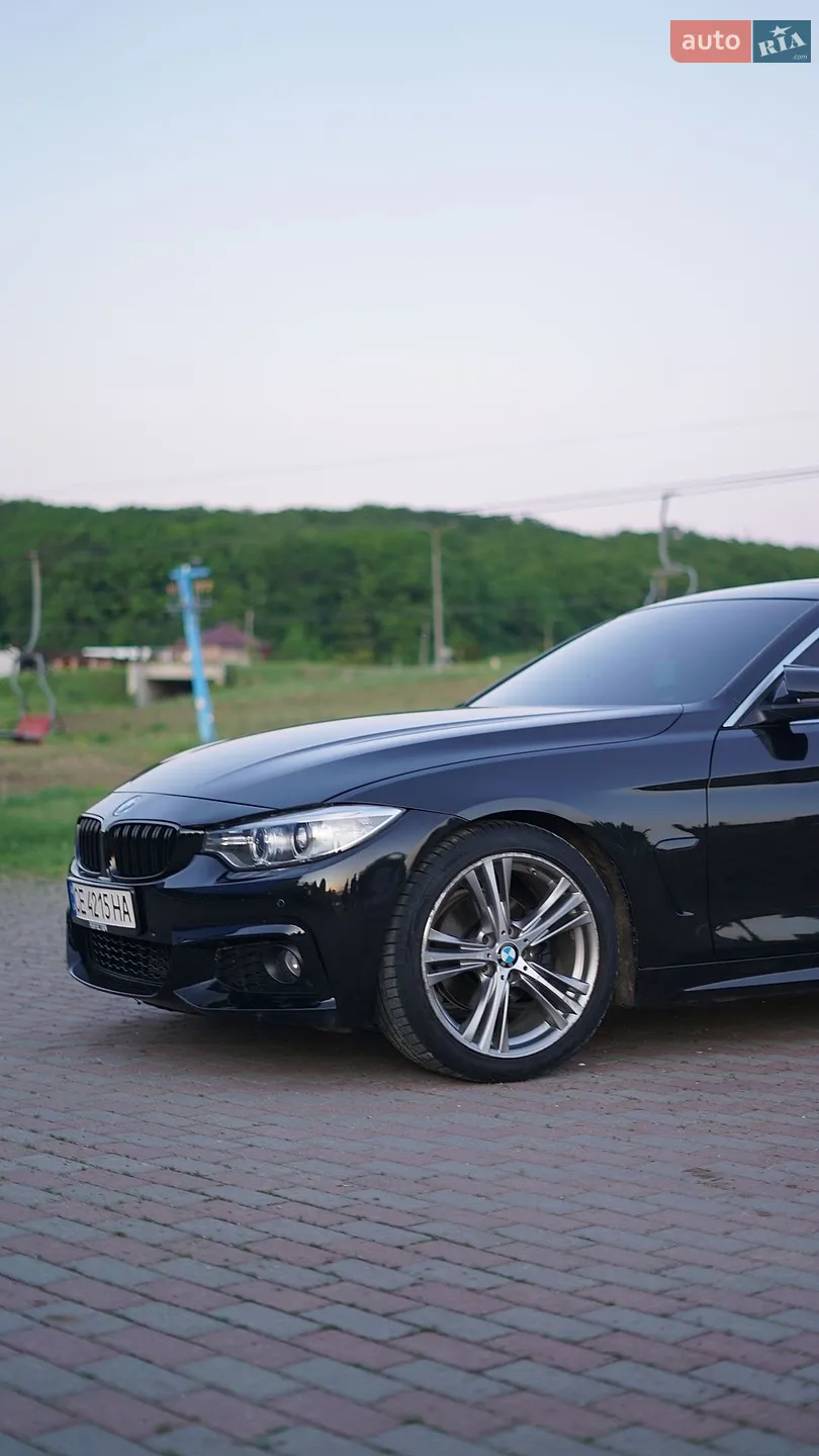 2016 BMW 4er - мініатюра 98