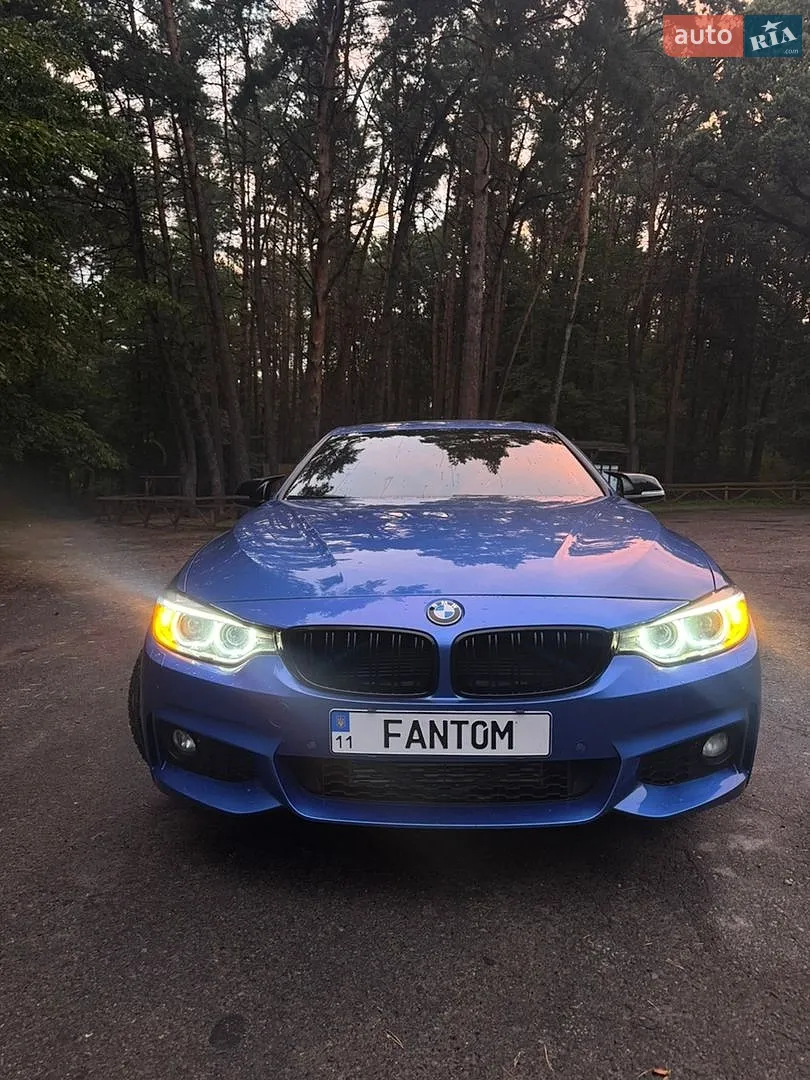 2015 BMW 4er - мініатюра 2