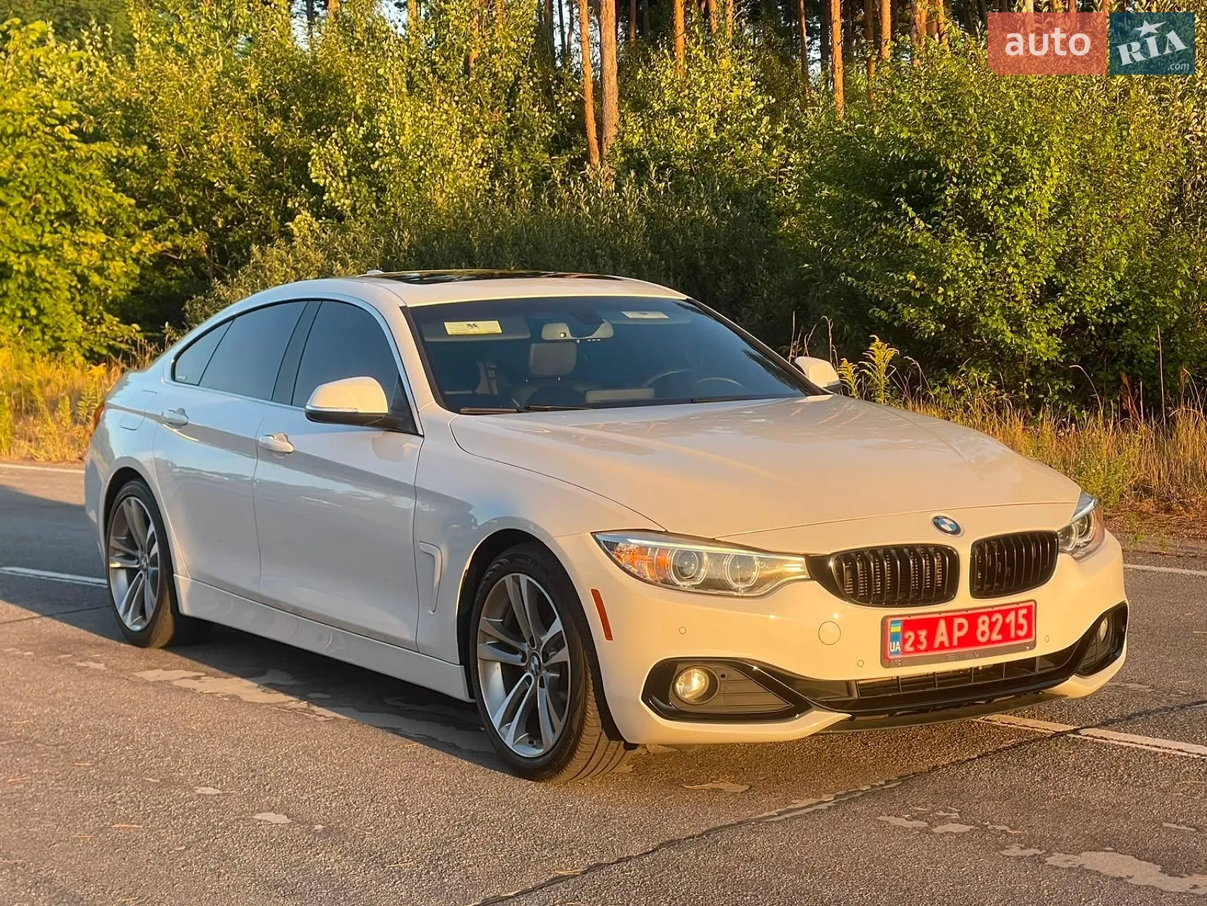 2016 BMW 4er - мініатюра 2