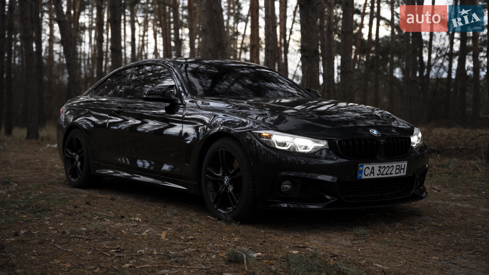 2017 BMW 4er - мініатюра 10