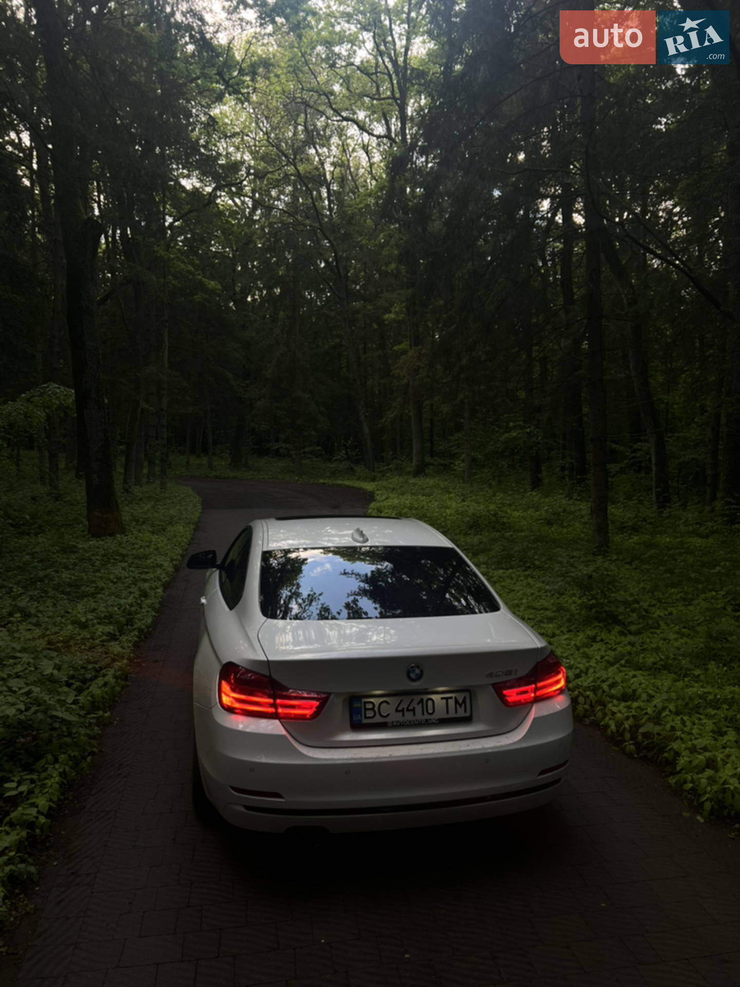 2015 BMW 4er - мініатюра 2