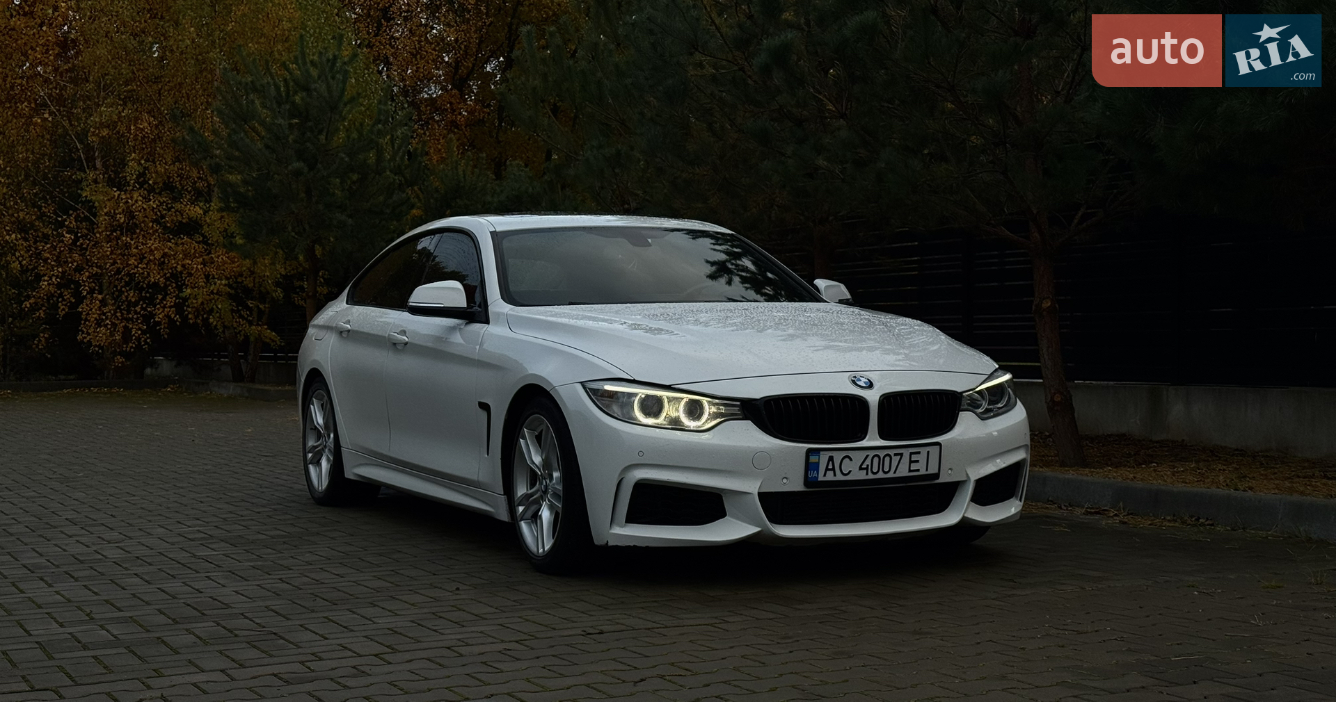 2015 BMW 4er - фото 1
