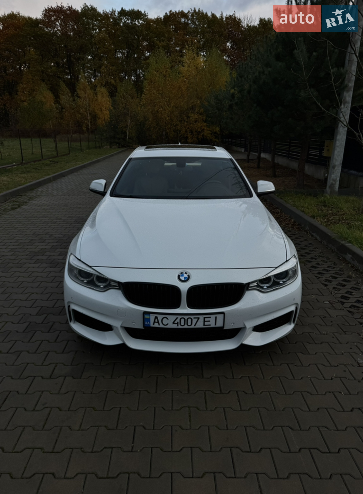 2015 BMW 4er - мініатюра 9