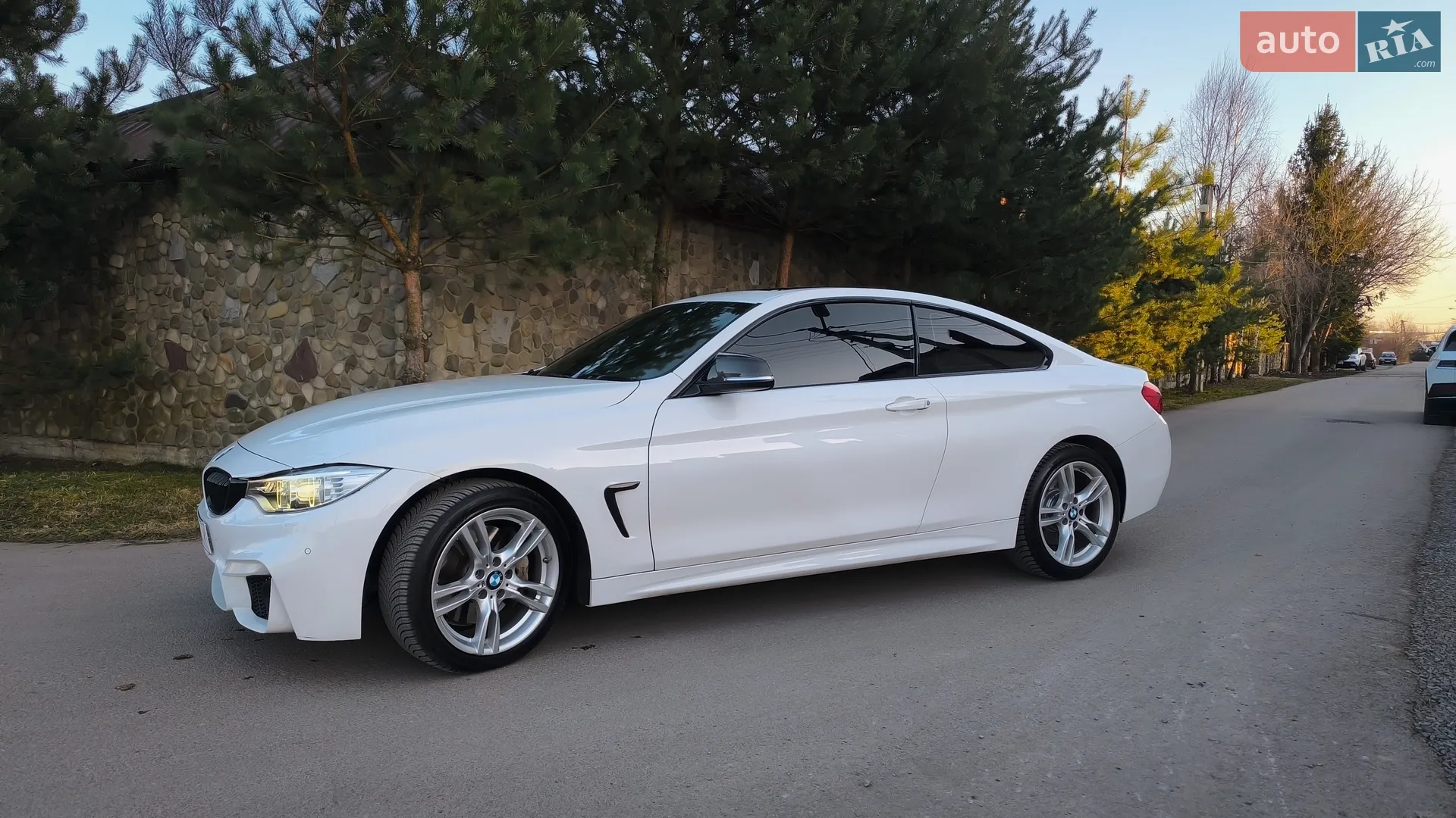 2015 BMW 4er - мініатюра 6