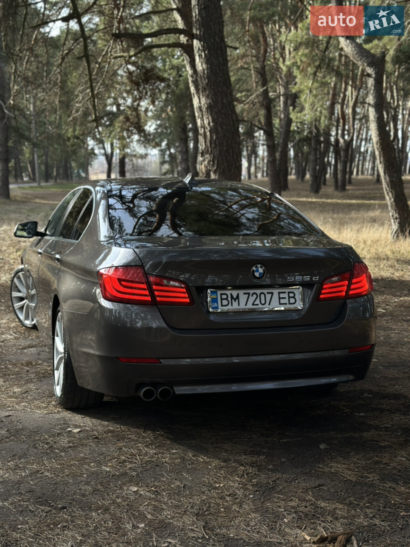 2010 BMW 5er - мініатюра 5