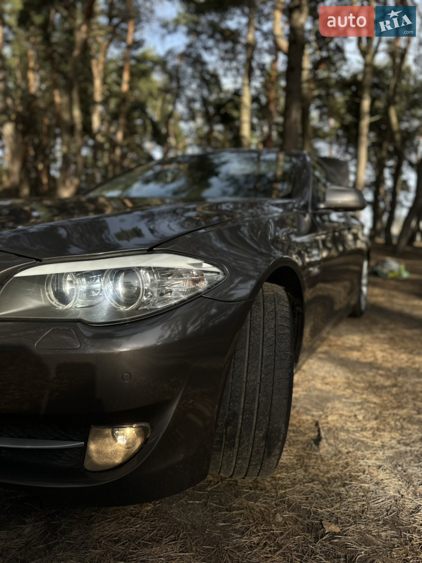 2010 BMW 5er - мініатюра 30