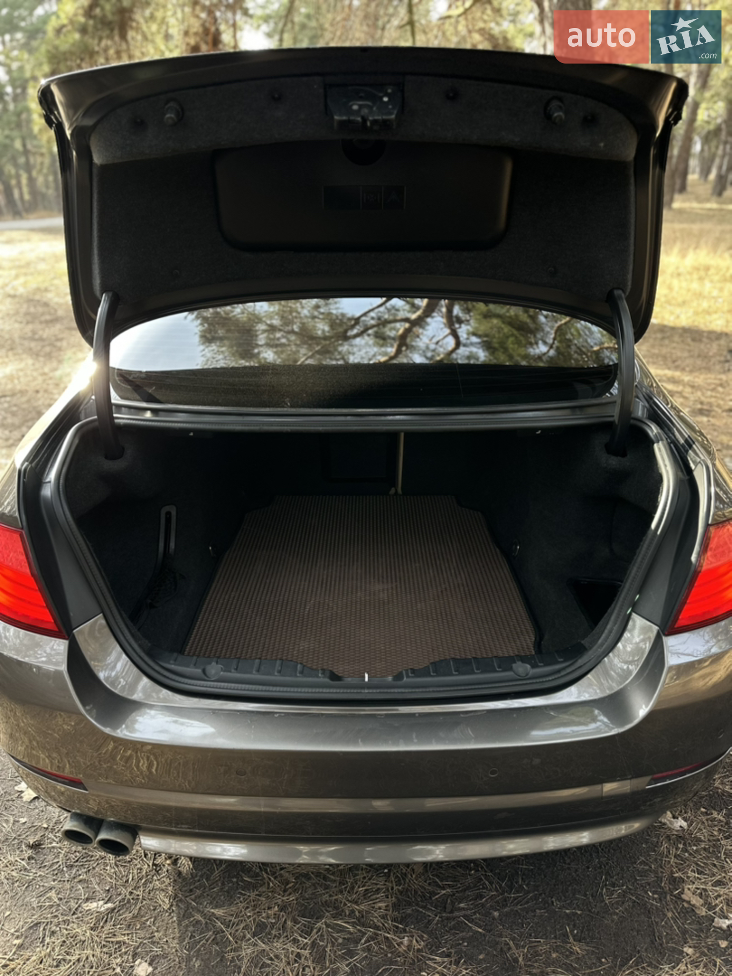 2010 BMW 5er - мініатюра 32