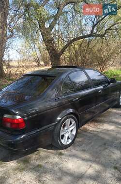 Седан BMW 5 Series 1996 в 