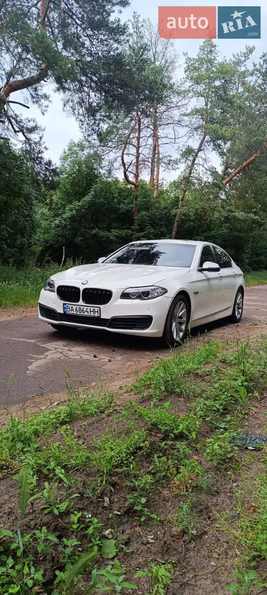 2013 BMW 5er - мініатюра 2