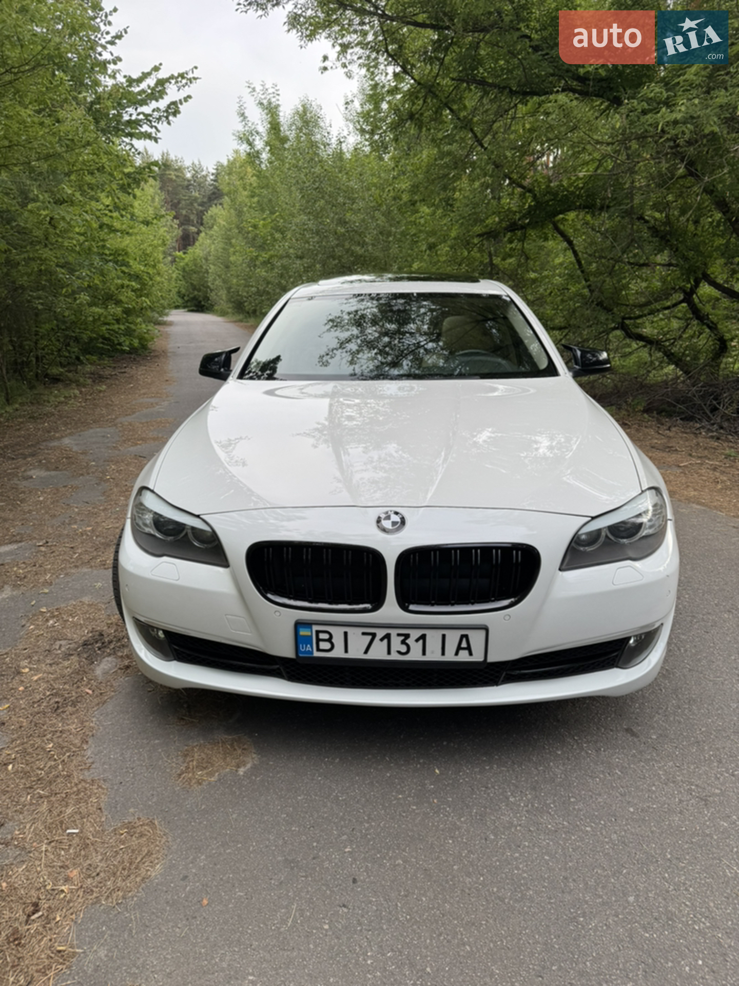 2013 BMW 5er - мініатюра 6