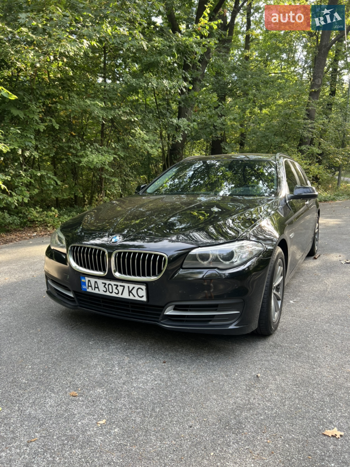 2016 BMW 5er - мініатюра 2