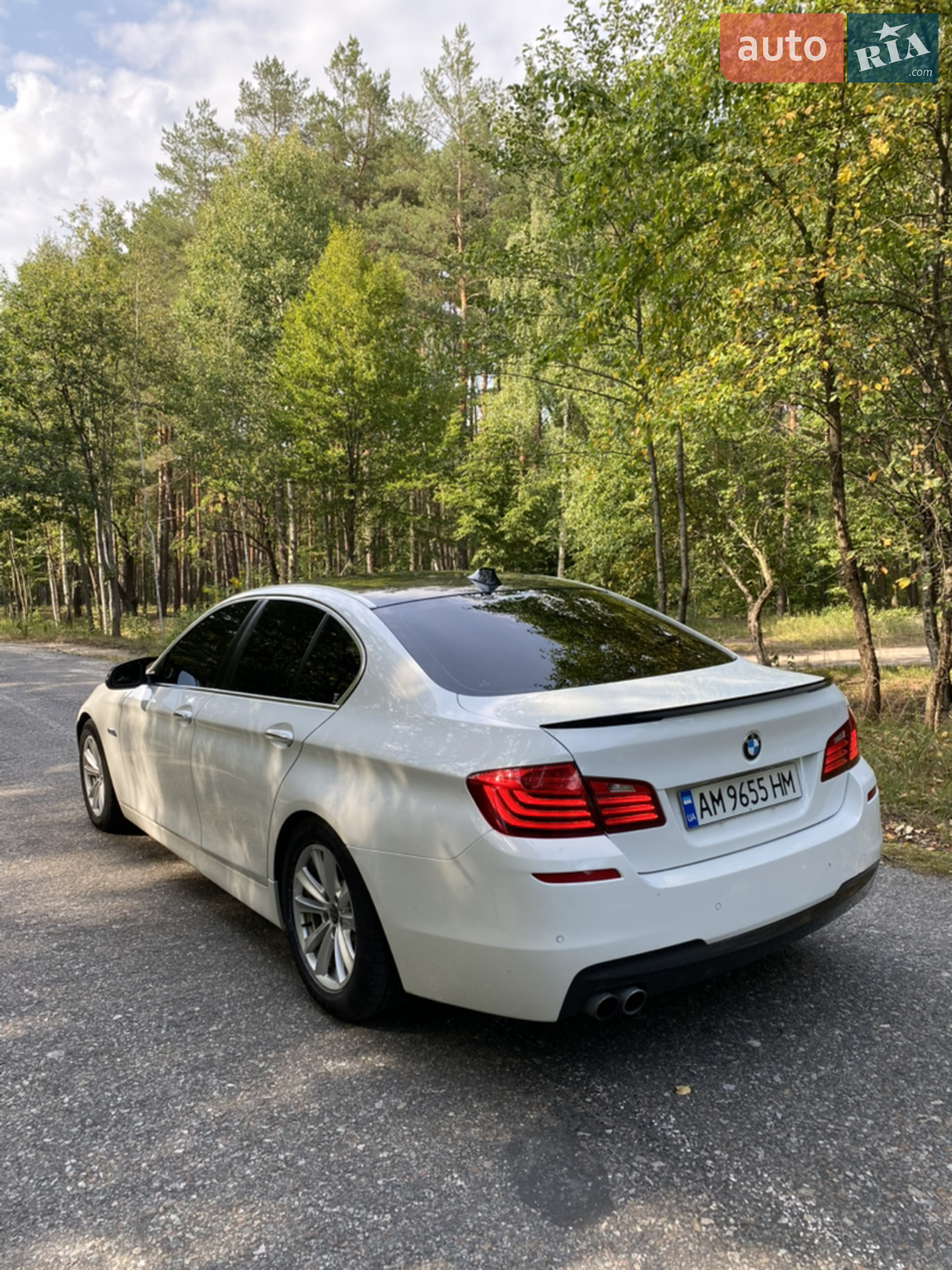 2014 BMW 5er - мініатюра 5