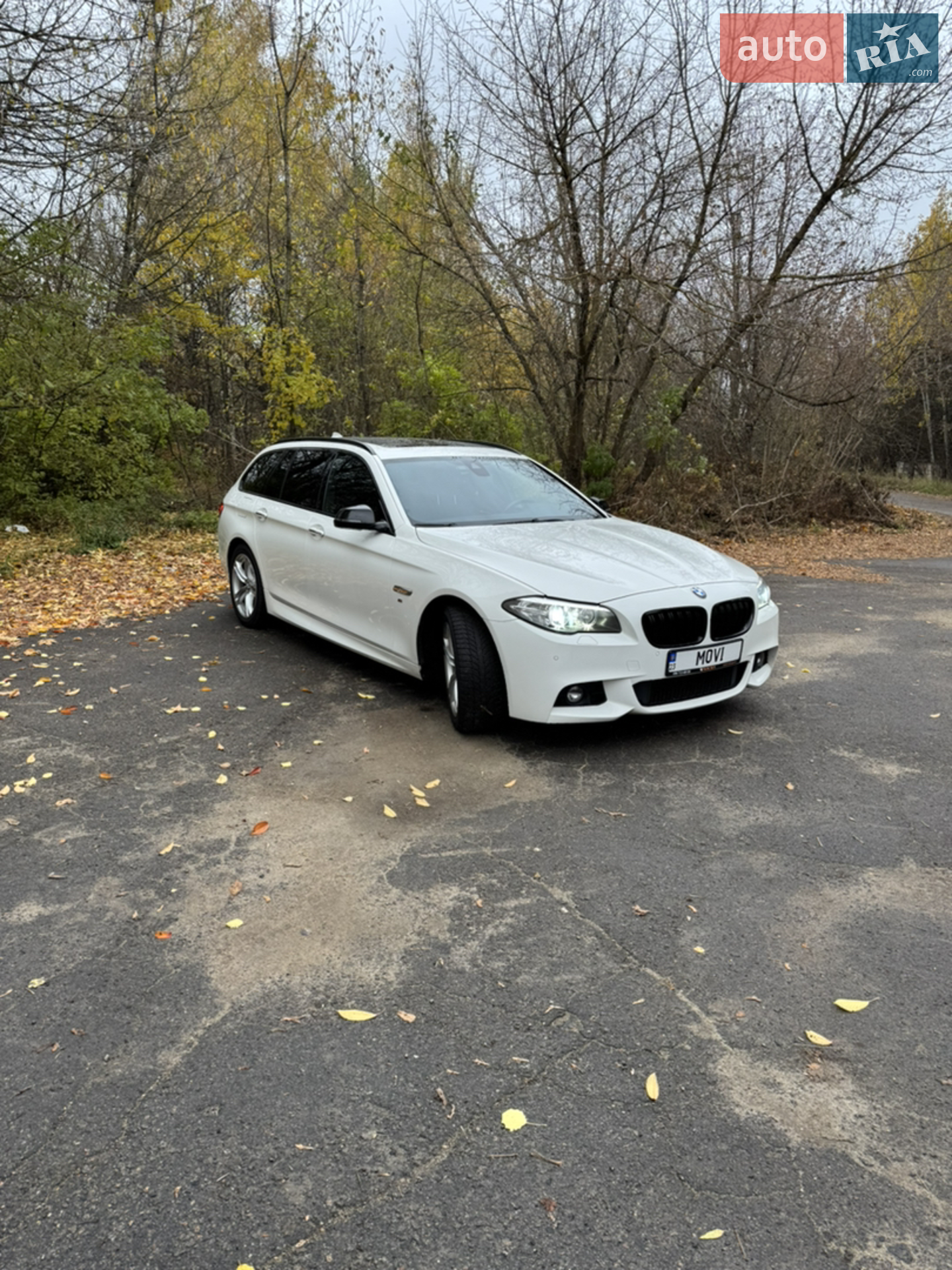 2013 BMW 5er - мініатюра 9