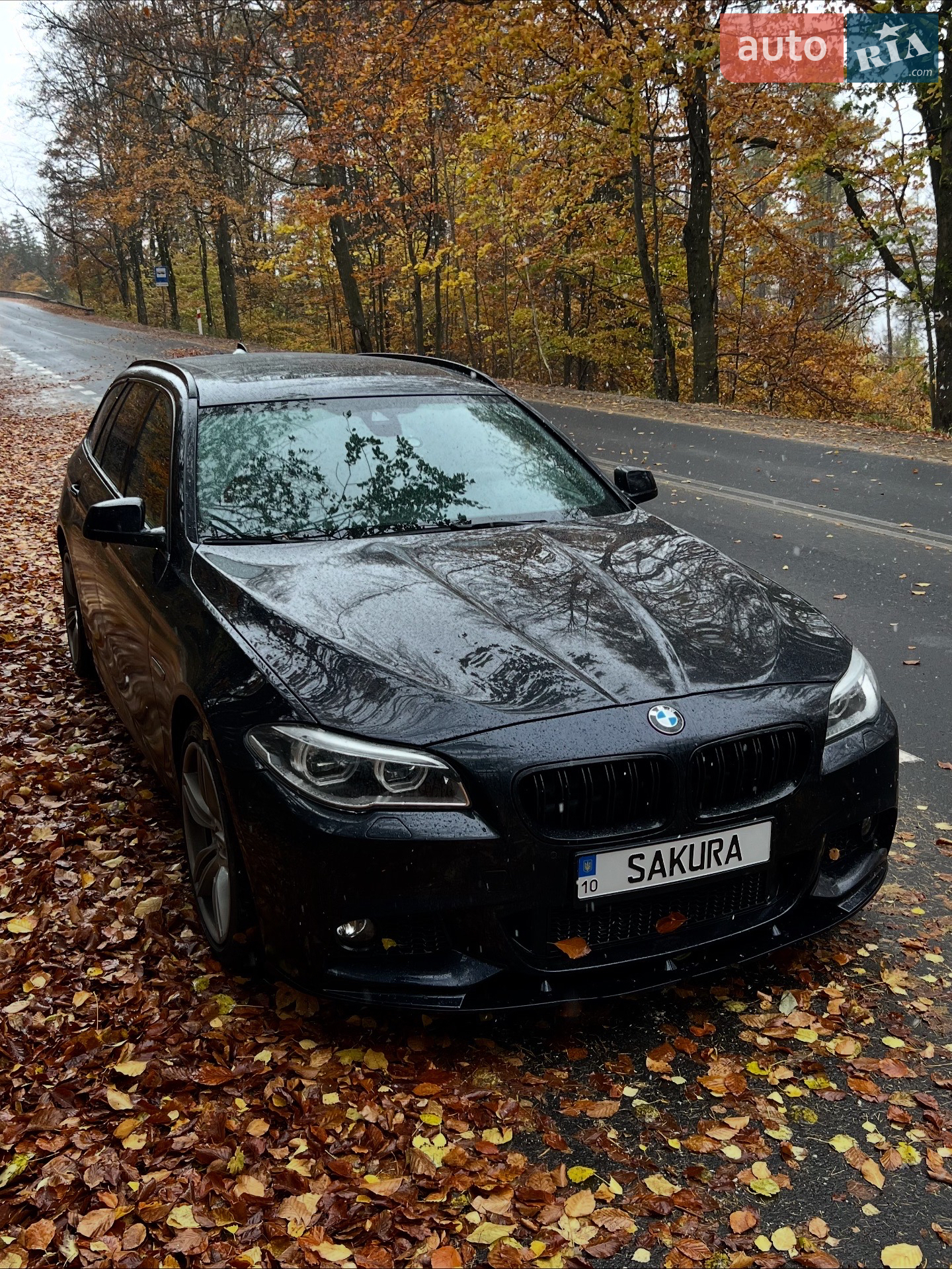 2013 BMW 5er - мініатюра 36