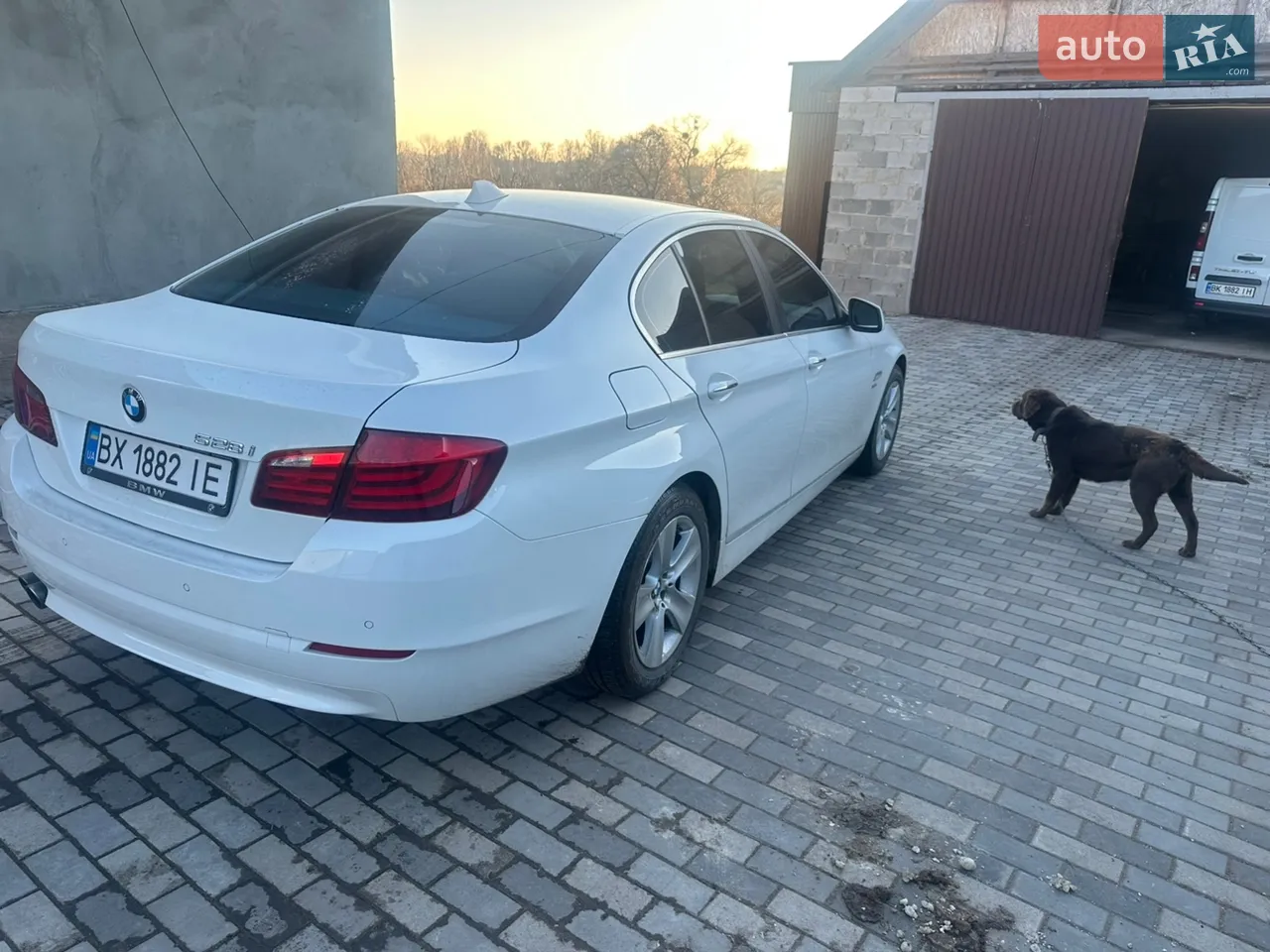 2010 BMW 5er - мініатюра 20