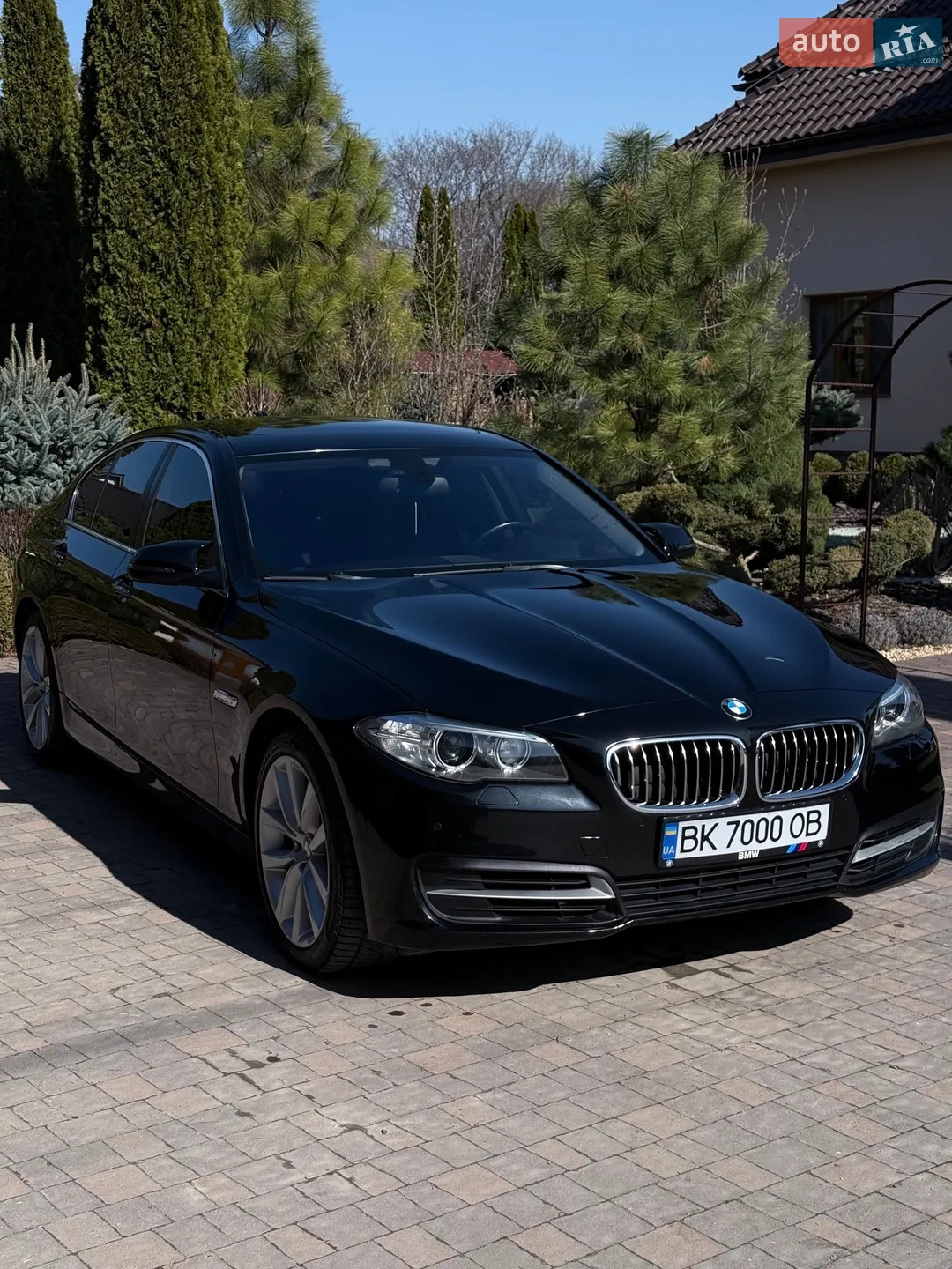 2013 BMW 5er - мініатюра 2