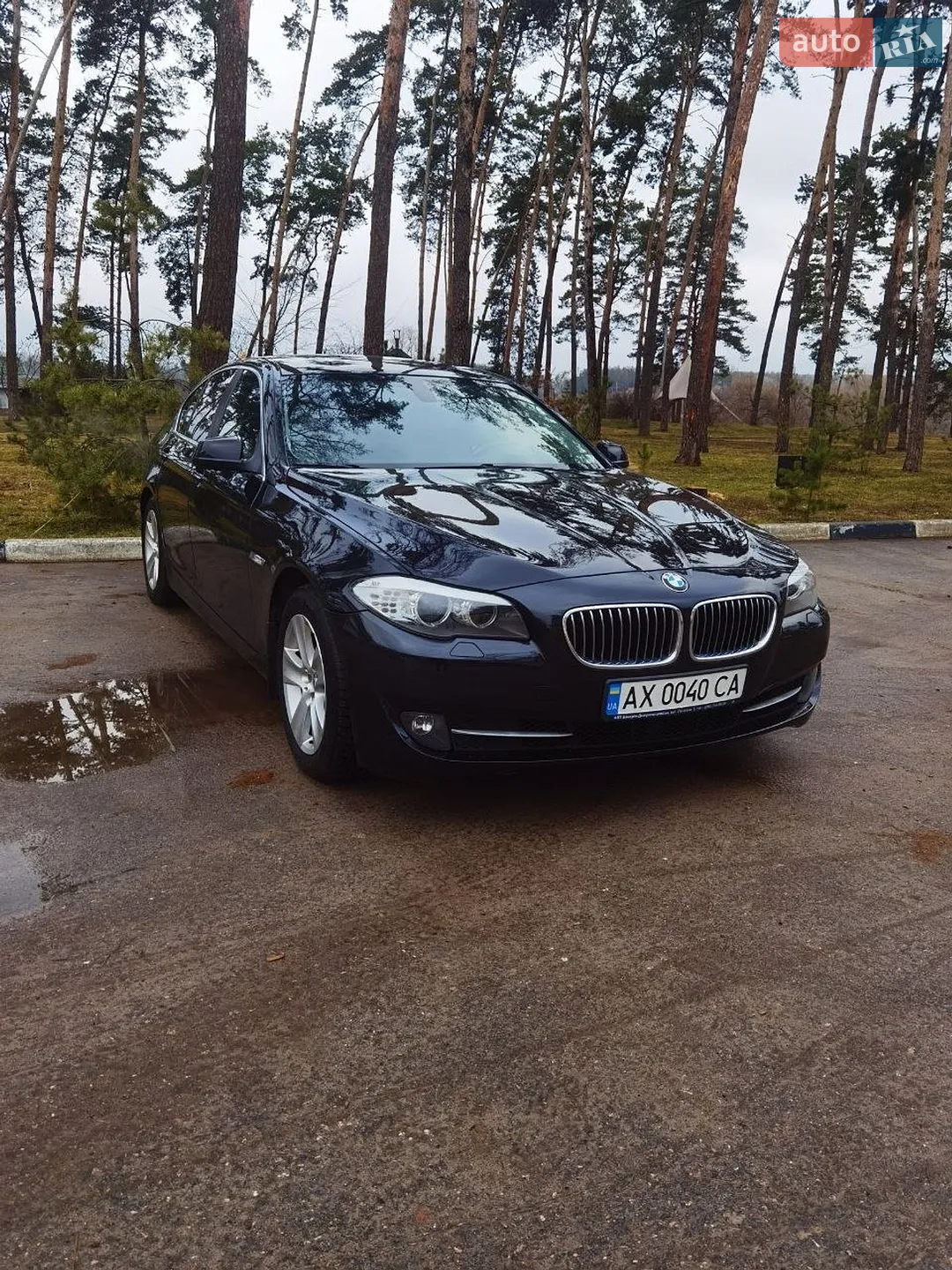 2010 BMW 5er - мініатюра 2