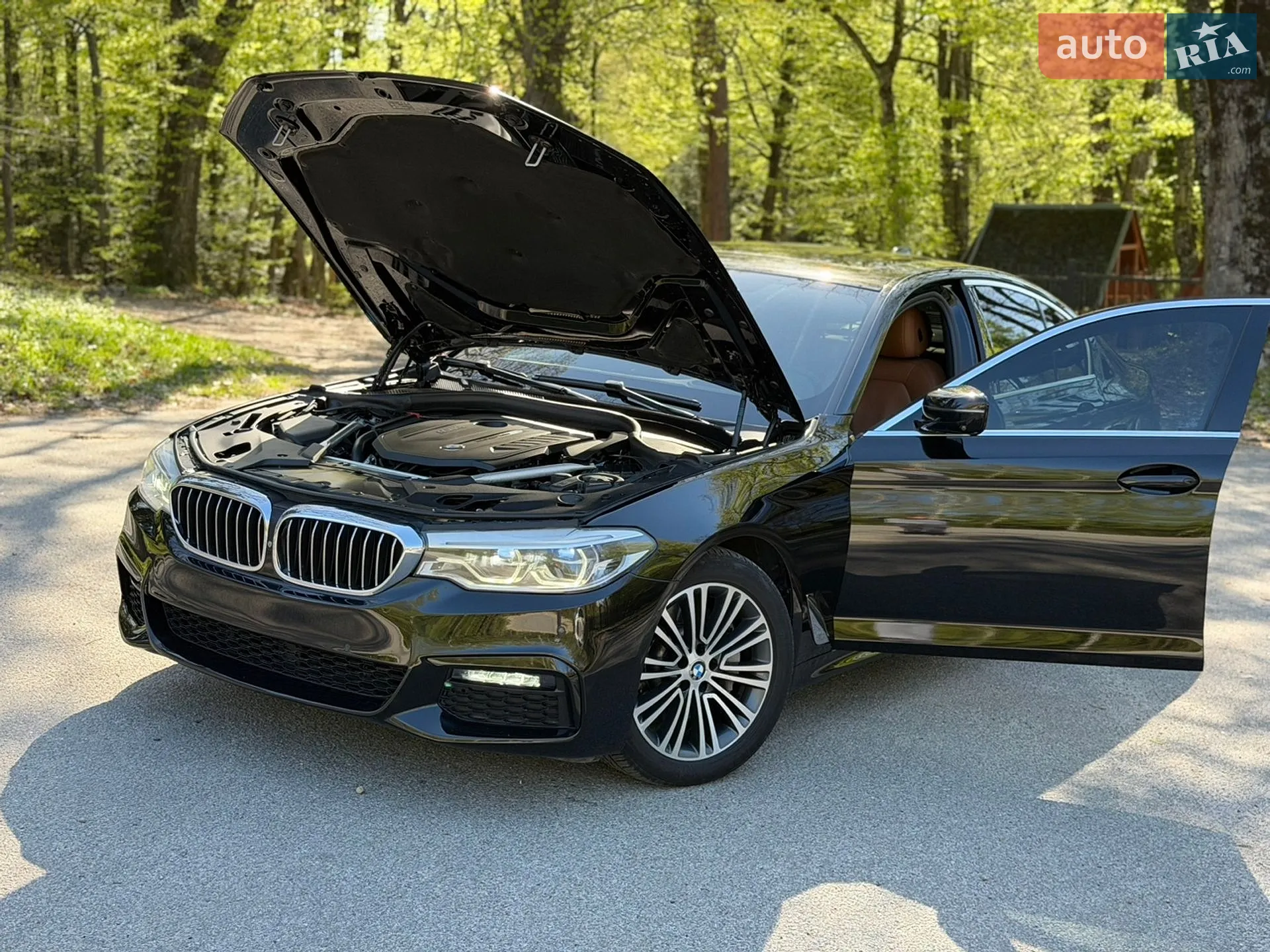 2018 BMW 5er - мініатюра 21