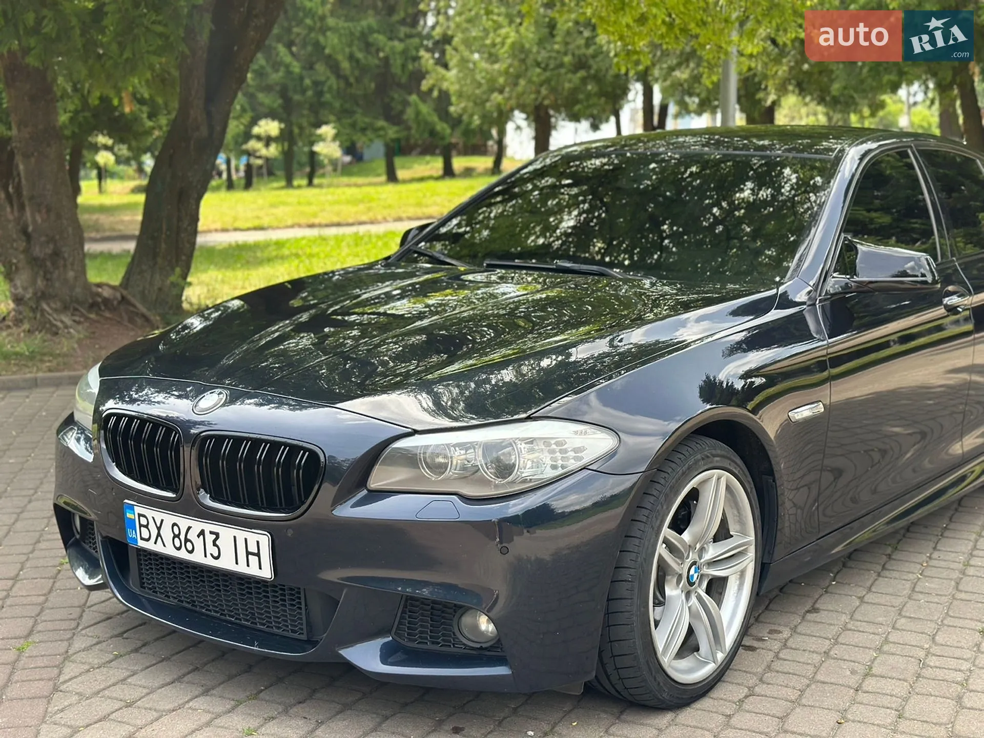2013 BMW 5er - мініатюра 2