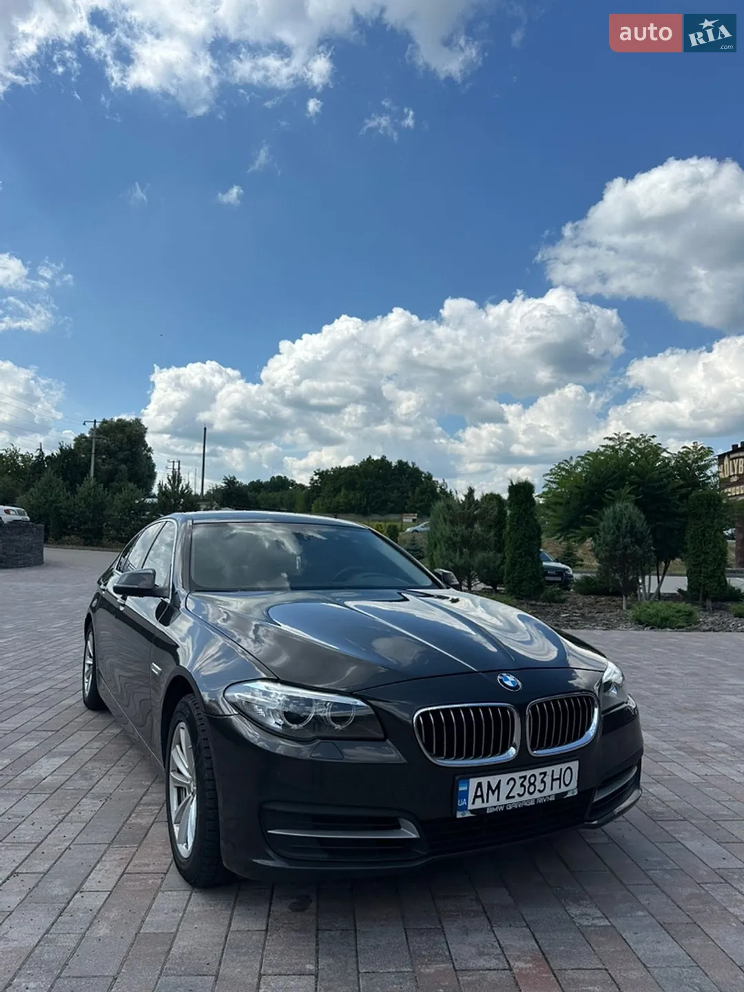 2014 BMW 5er - мініатюра 2