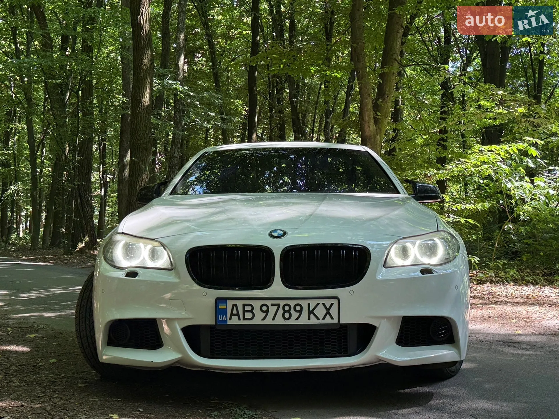 2013 BMW 5er - мініатюра 3