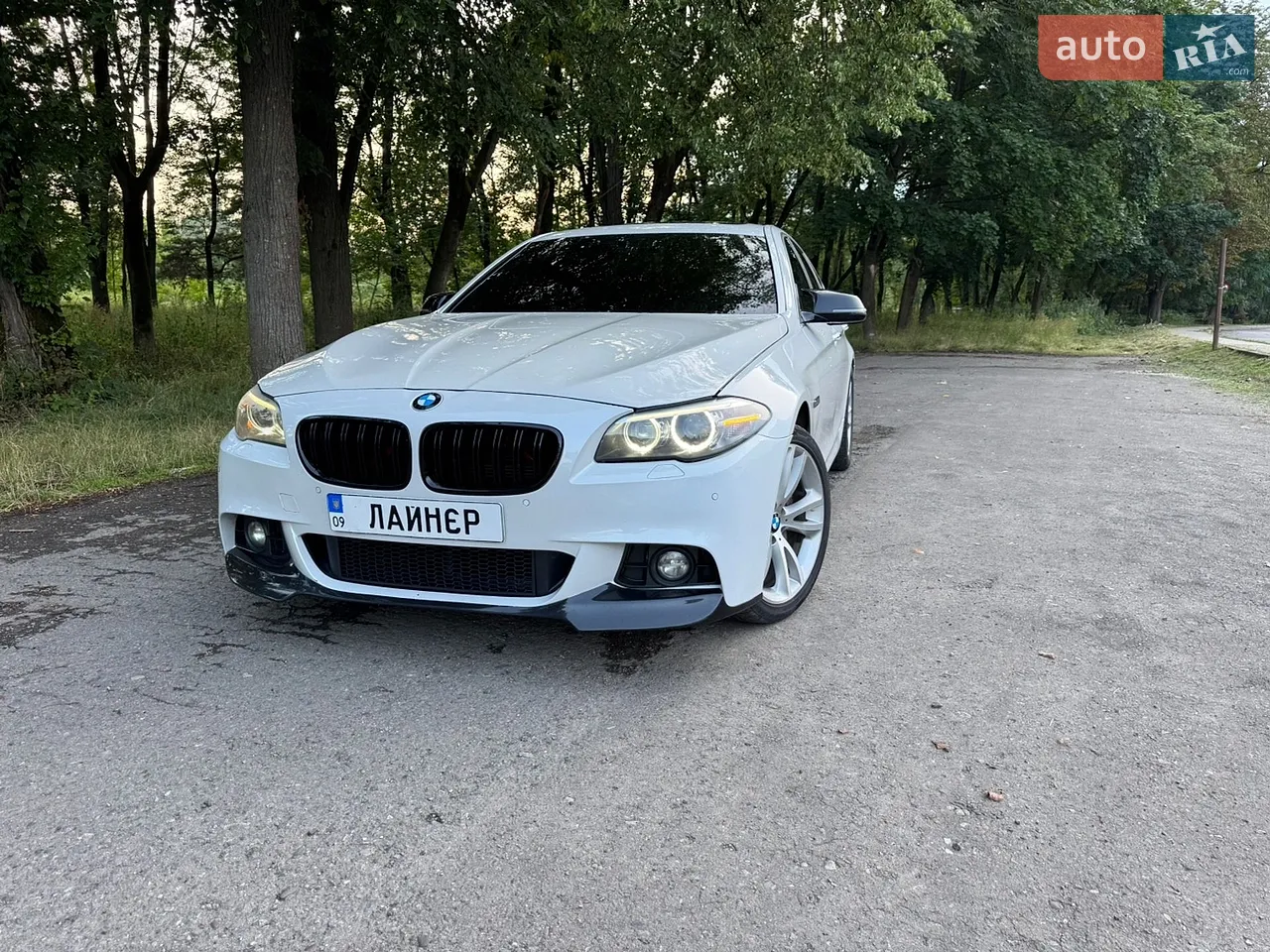 2015 BMW 5er - мініатюра 25