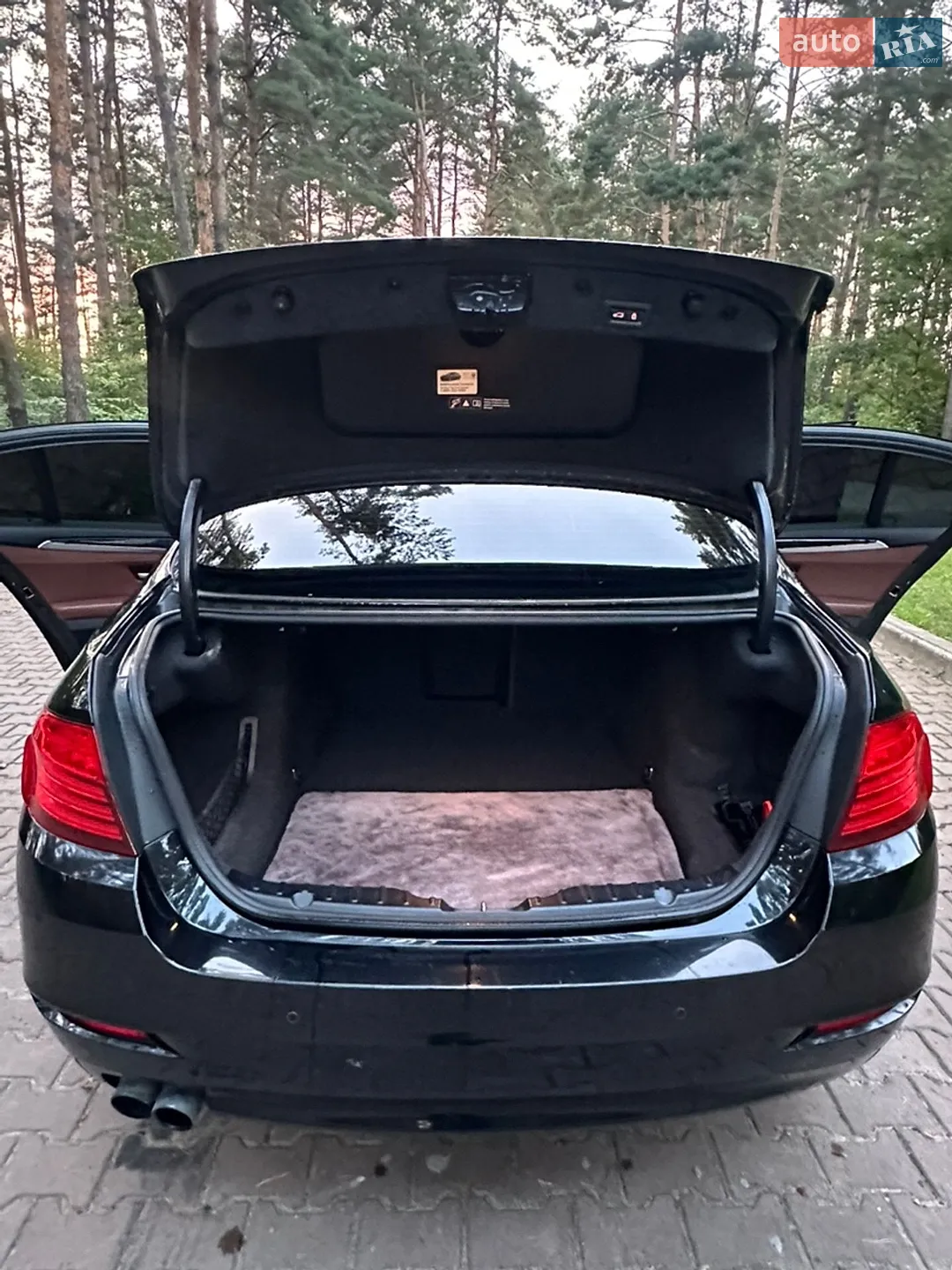 2013 BMW 5er - мініатюра 7