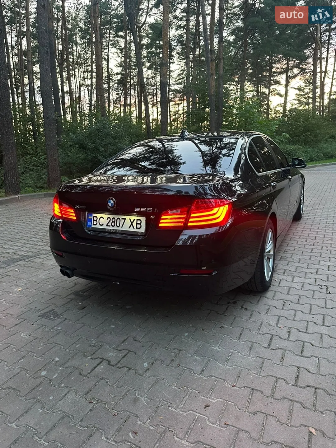 2013 BMW 5er - мініатюра 4