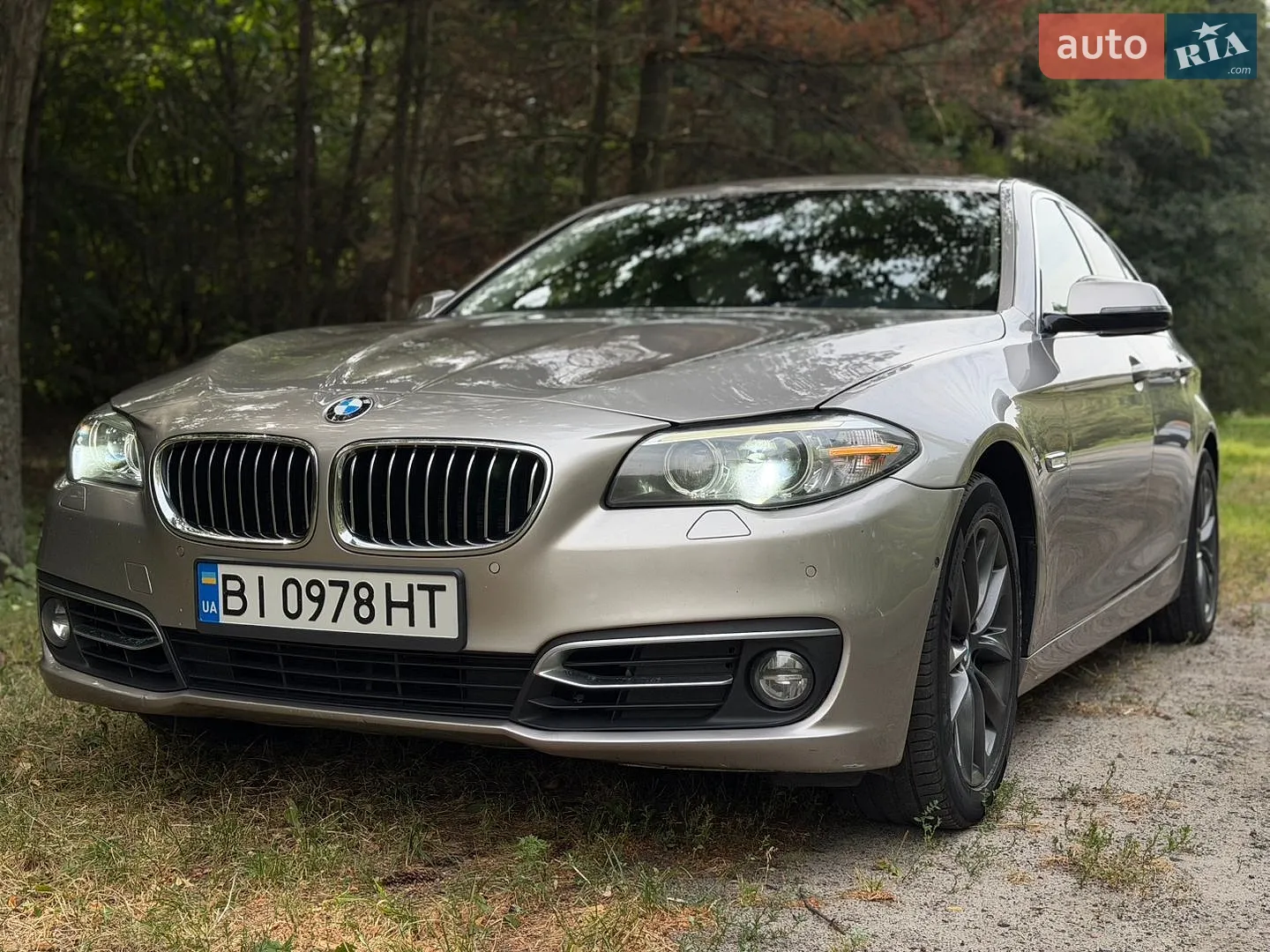 2014 BMW 5er - мініатюра 5
