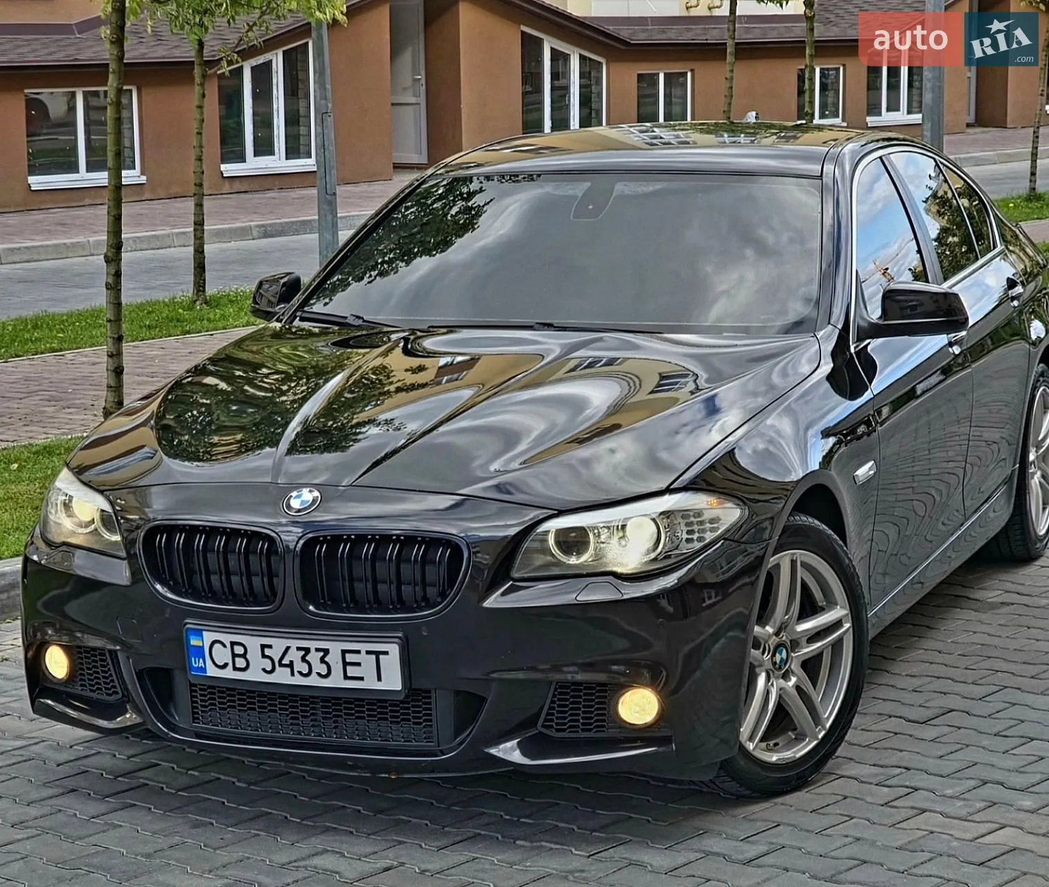 2010 BMW 5er - мініатюра 10