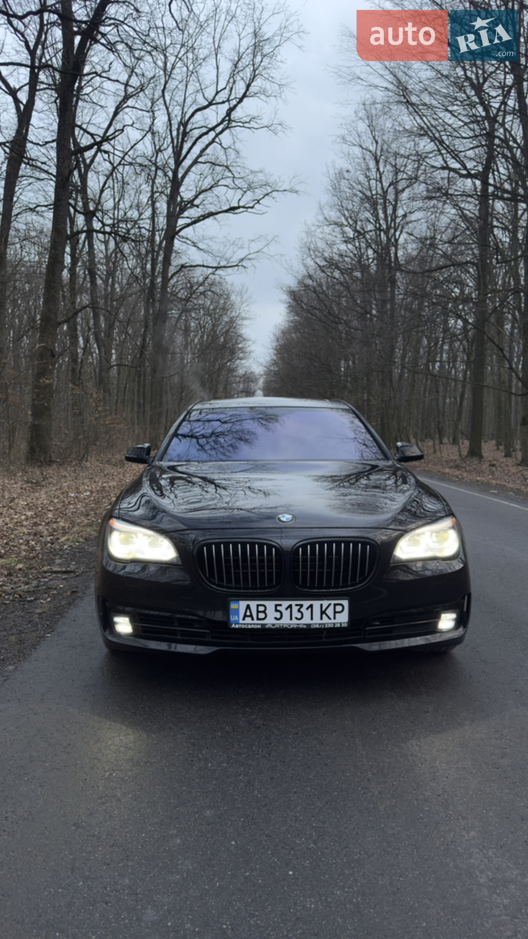 2013 BMW 7er - мініатюра 10