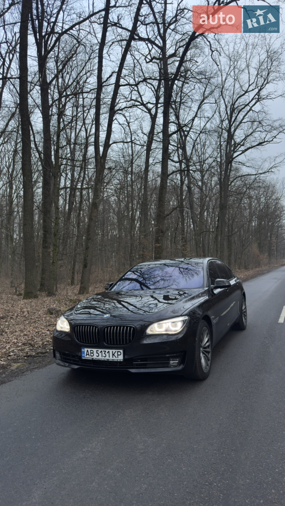 2013 BMW 7er - мініатюра 5
