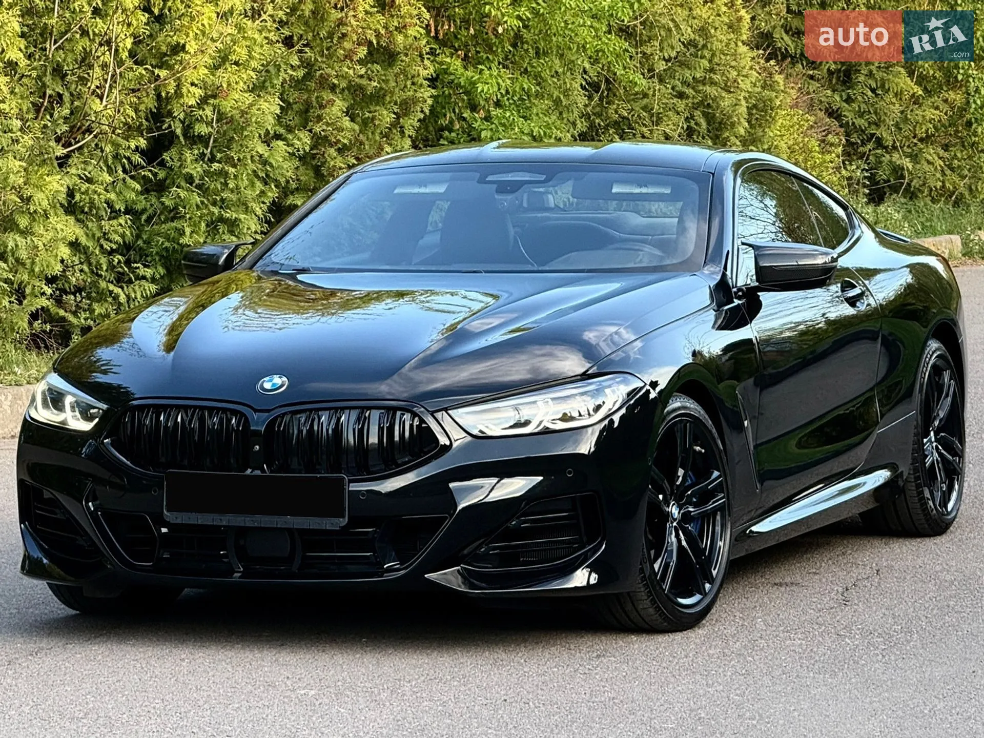 2019 BMW 8er - мініатюра 87