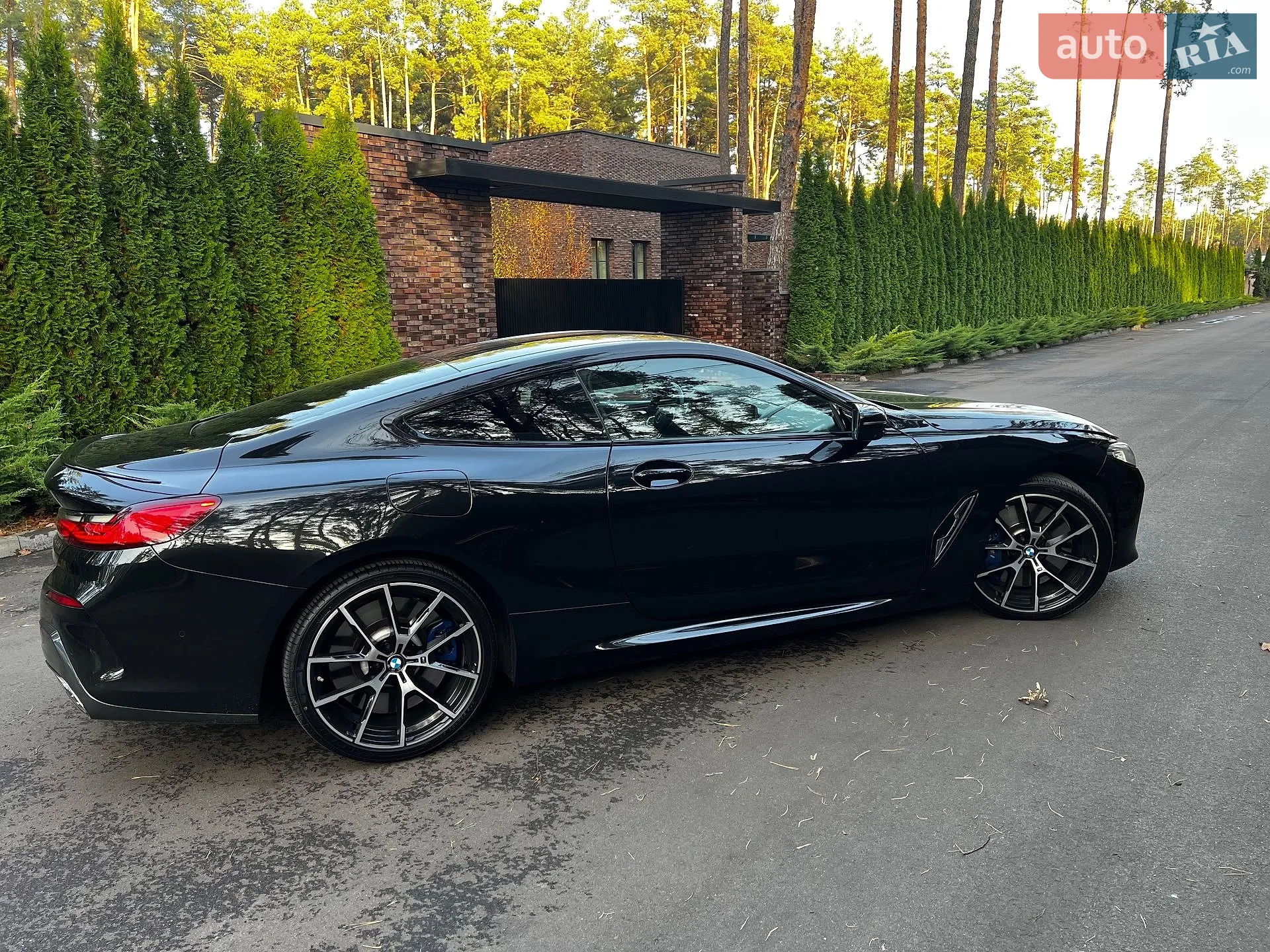 2019 BMW 8er - мініатюра 5