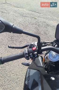 Мотоцикл Без обтекателей (Naked bike) BMW F 900R 2025 в 