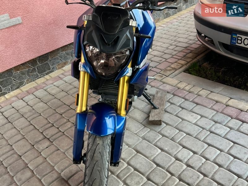 BMW G 310R 2019