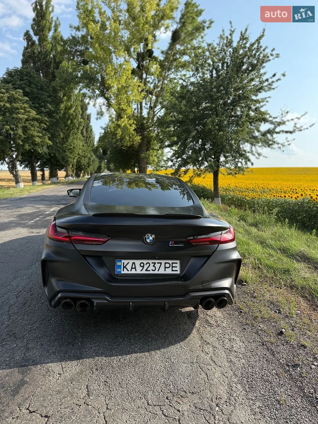2019 BMW M8 - мініатюра 6