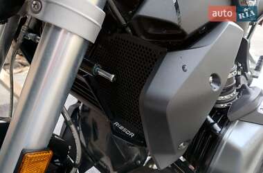 Мотоцикл Без обтекателей (Naked bike) BMW R 1250R 2022 в 