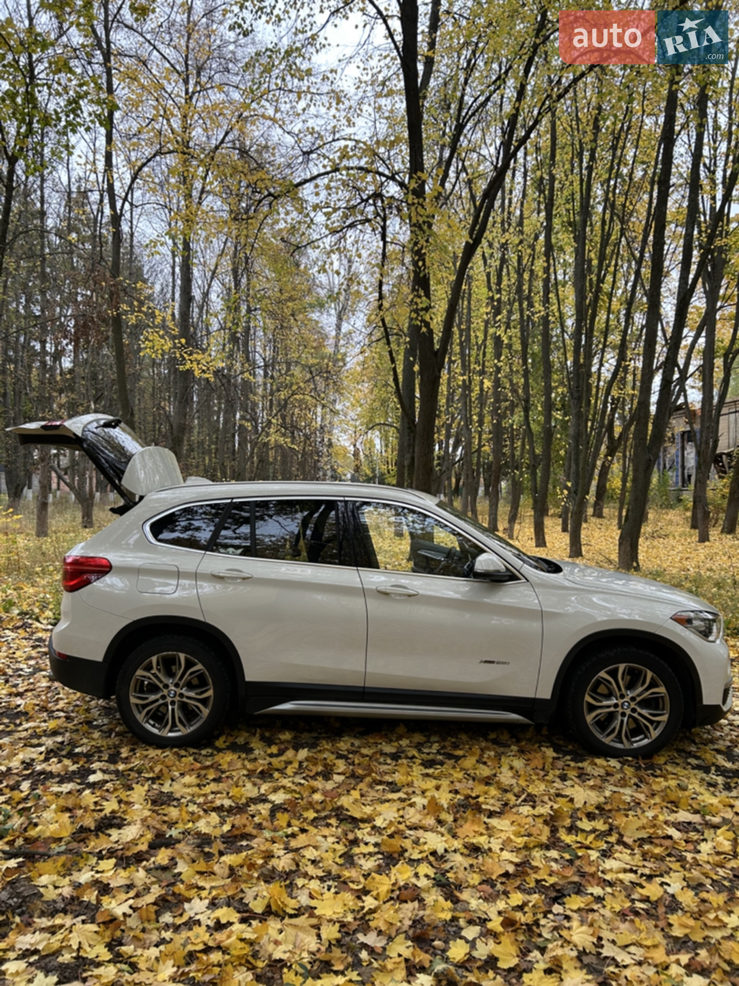 2016 BMW X1 - фото 1