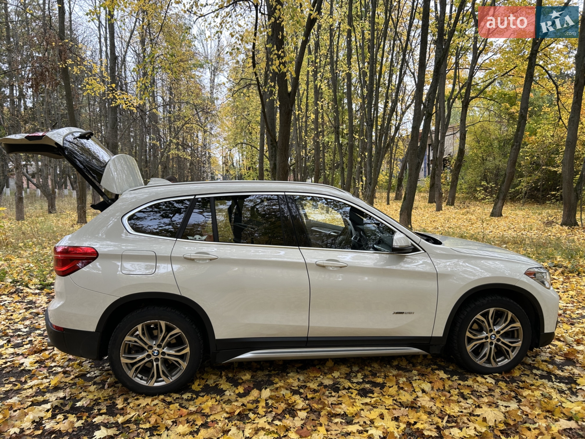 2016 BMW X1 - мініатюра 2