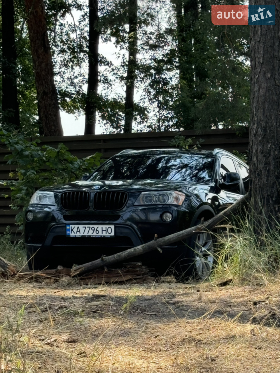 2010 BMW X3 - мініатюра 15