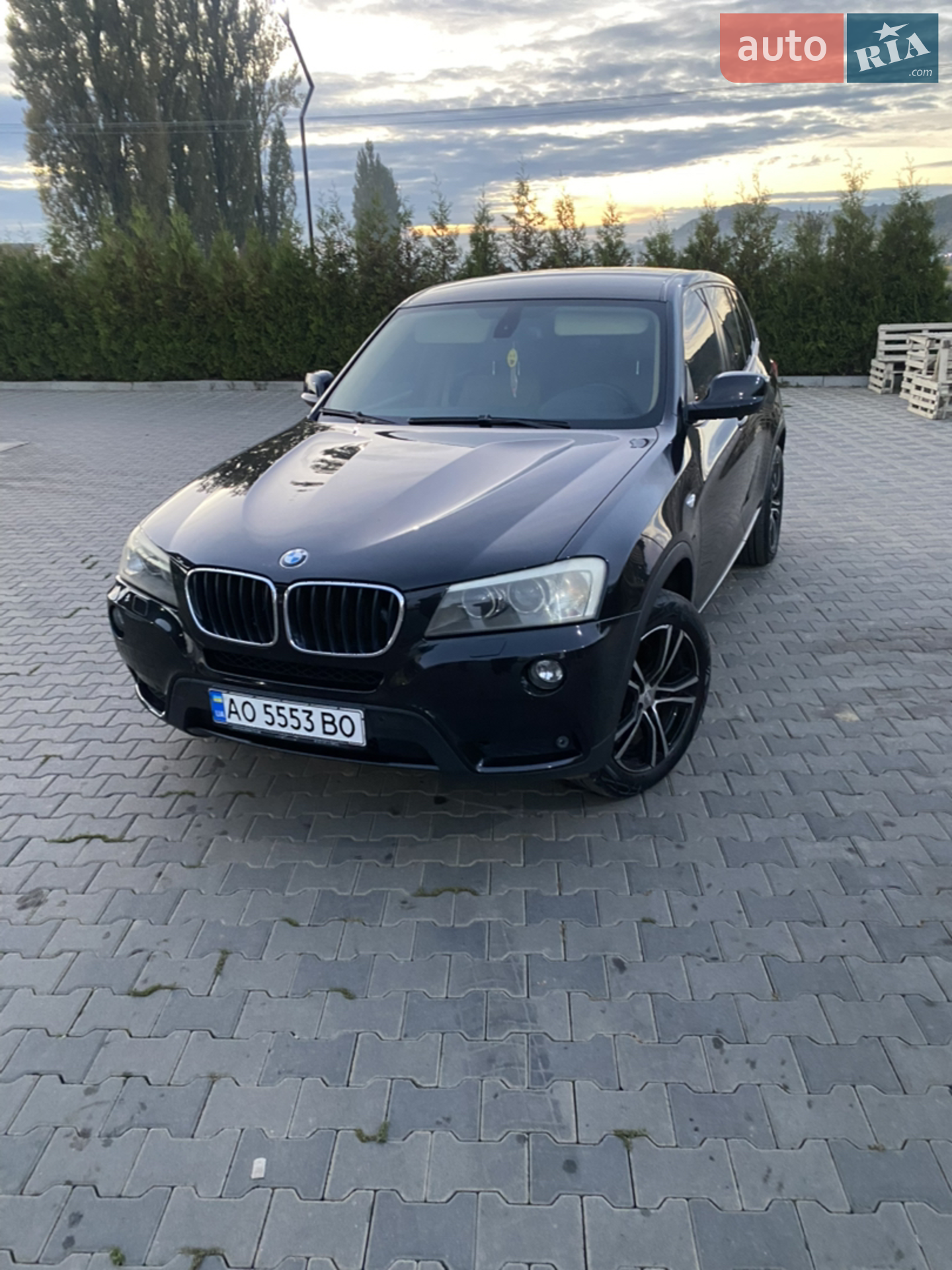 2011 BMW X3 - мініатюра 2