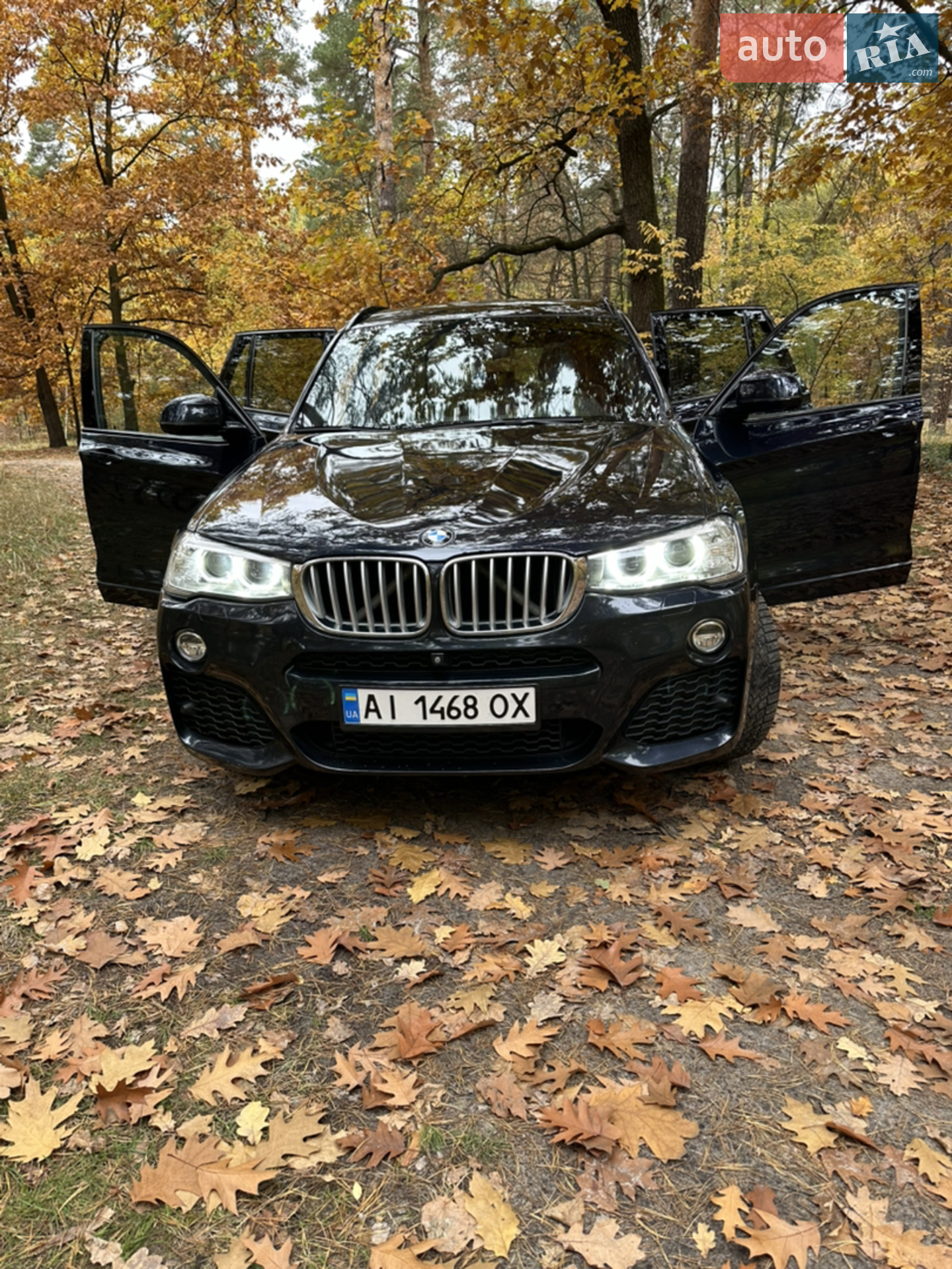 2016 BMW X3 - мініатюра 9