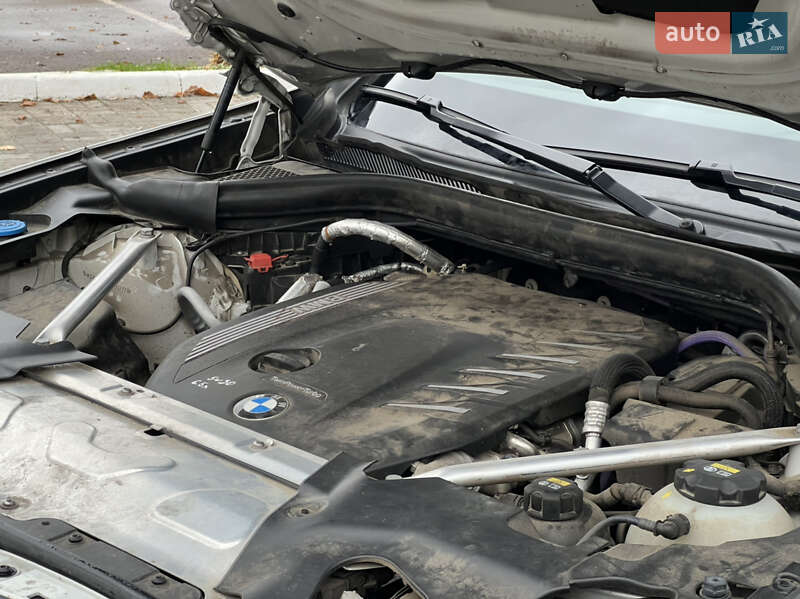 Внедорожник / Кроссовер BMW X3 2021 в Львове фото 159 Внедорожник / Кроссовер BMW X3 2021 в Львове