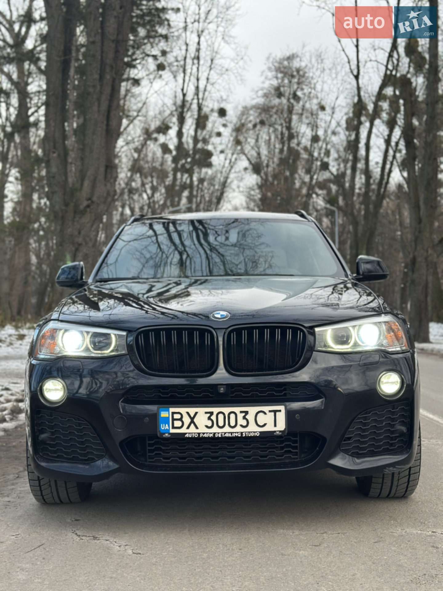2016 BMW X3 - мініатюра 10