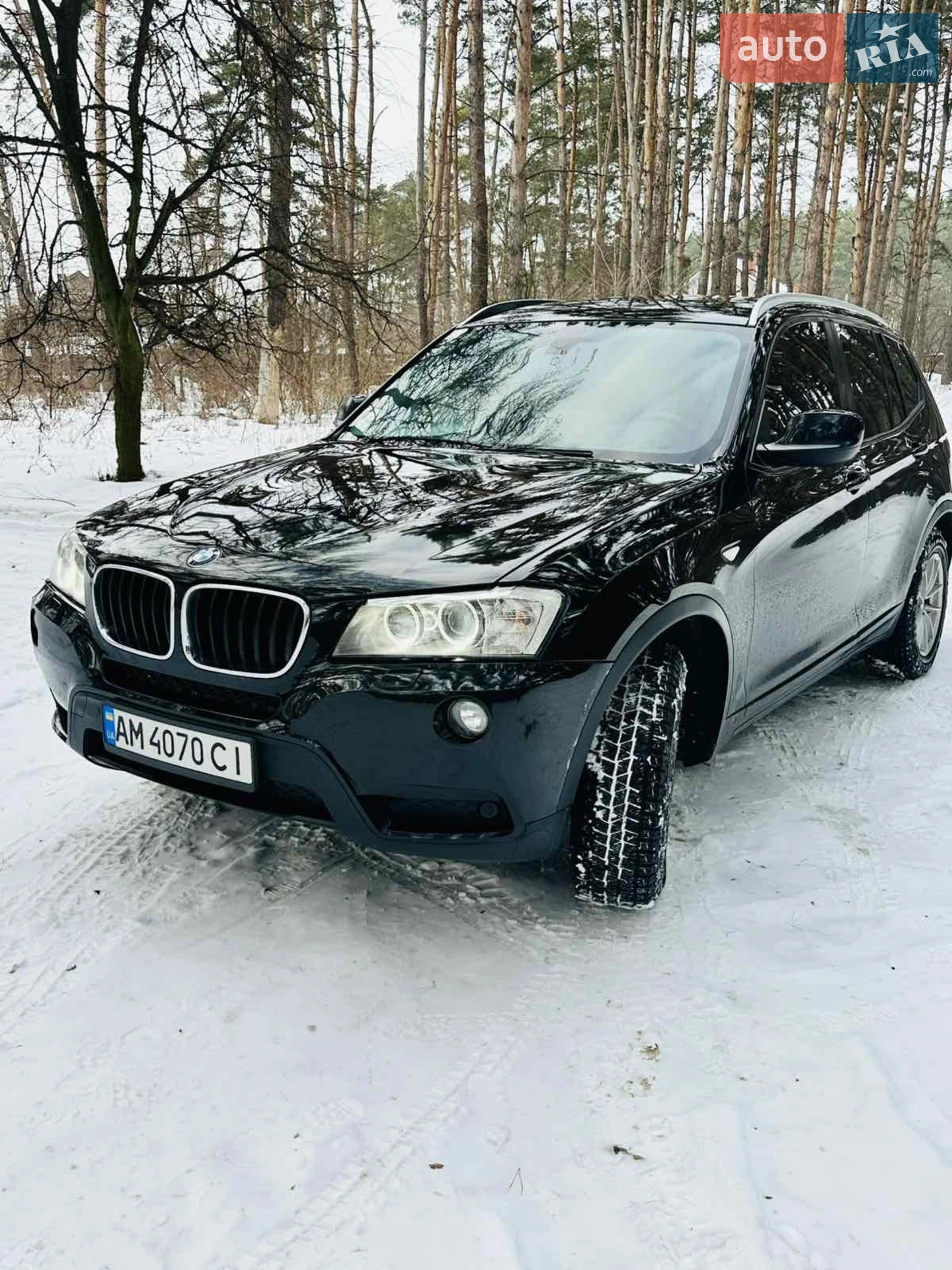 2013 BMW X3 - мініатюра 2