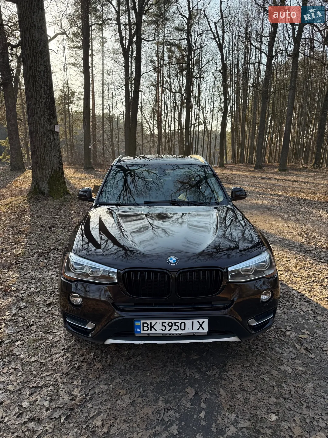 2015 BMW X3 - мініатюра 3