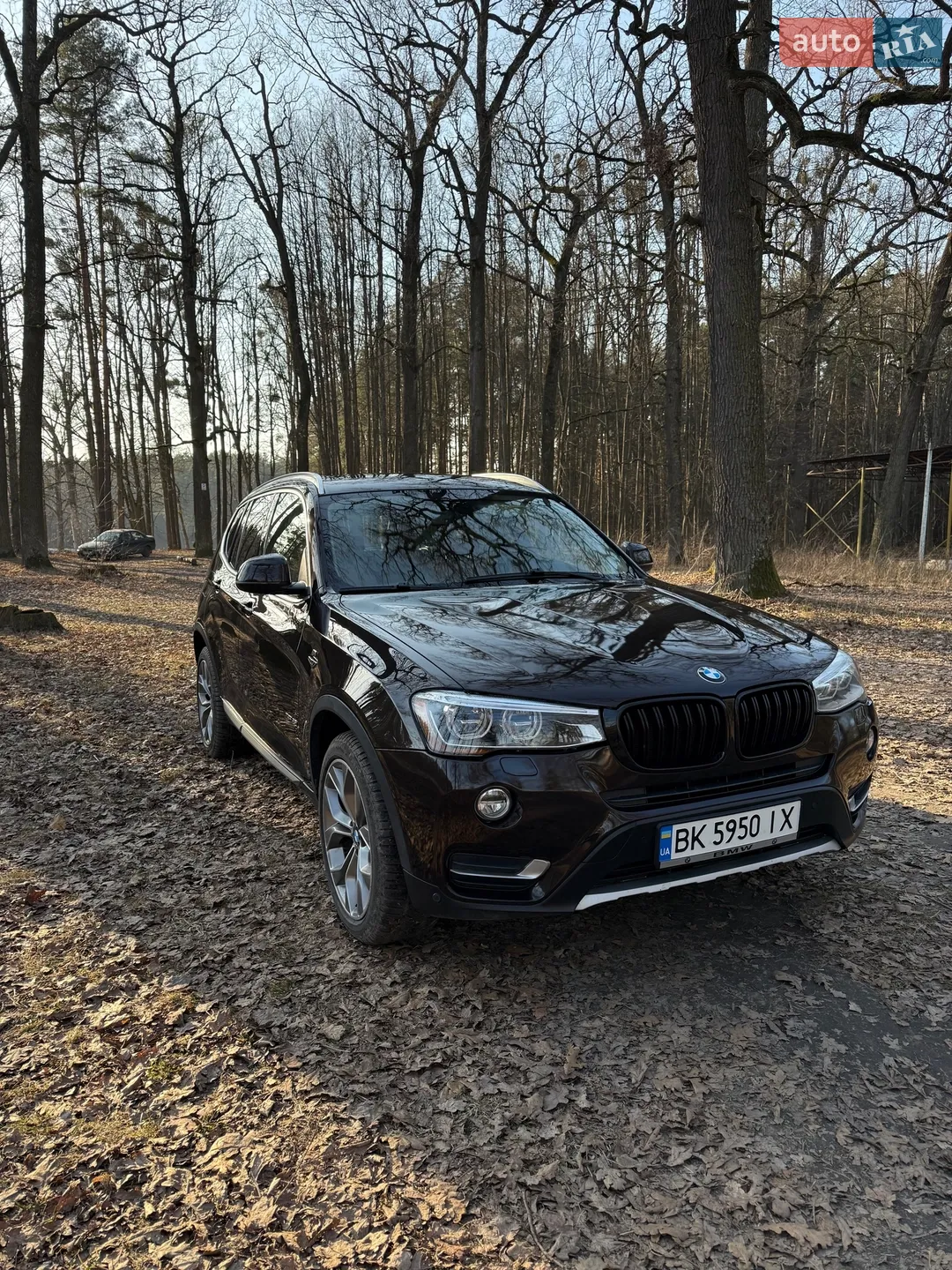 2015 BMW X3 - мініатюра 4