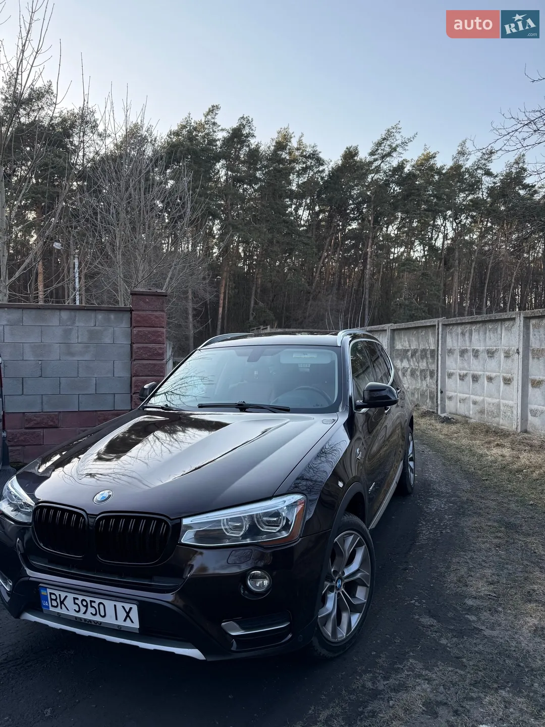 2015 BMW X3 - мініатюра 10
