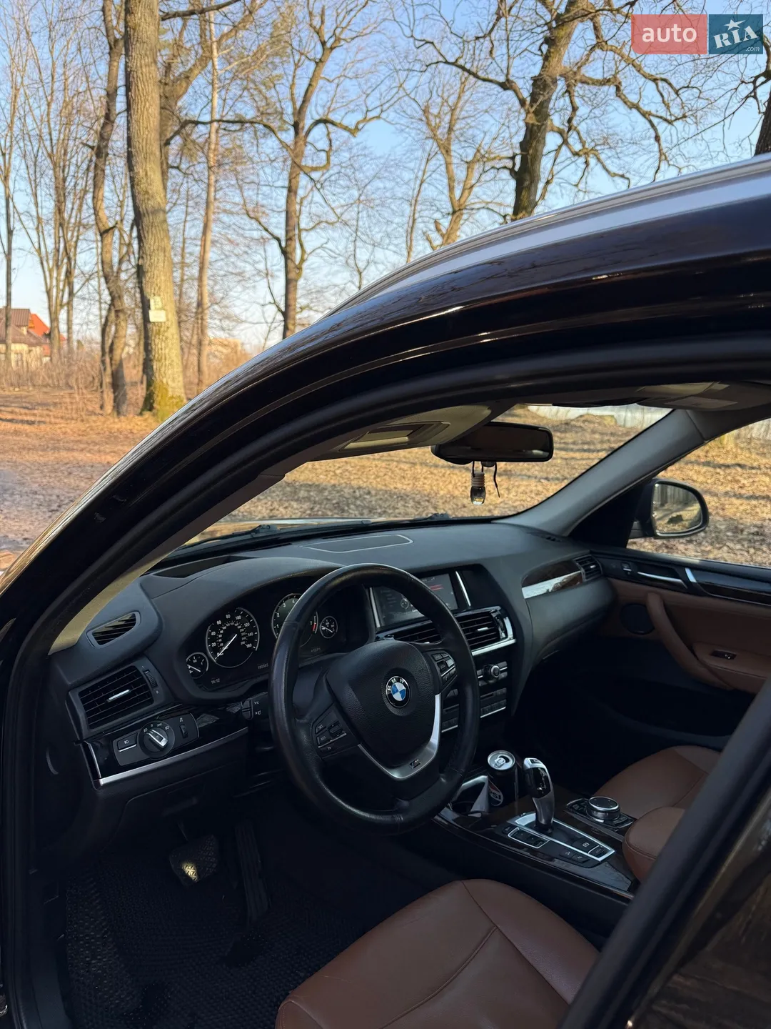 2015 BMW X3 - мініатюра 19